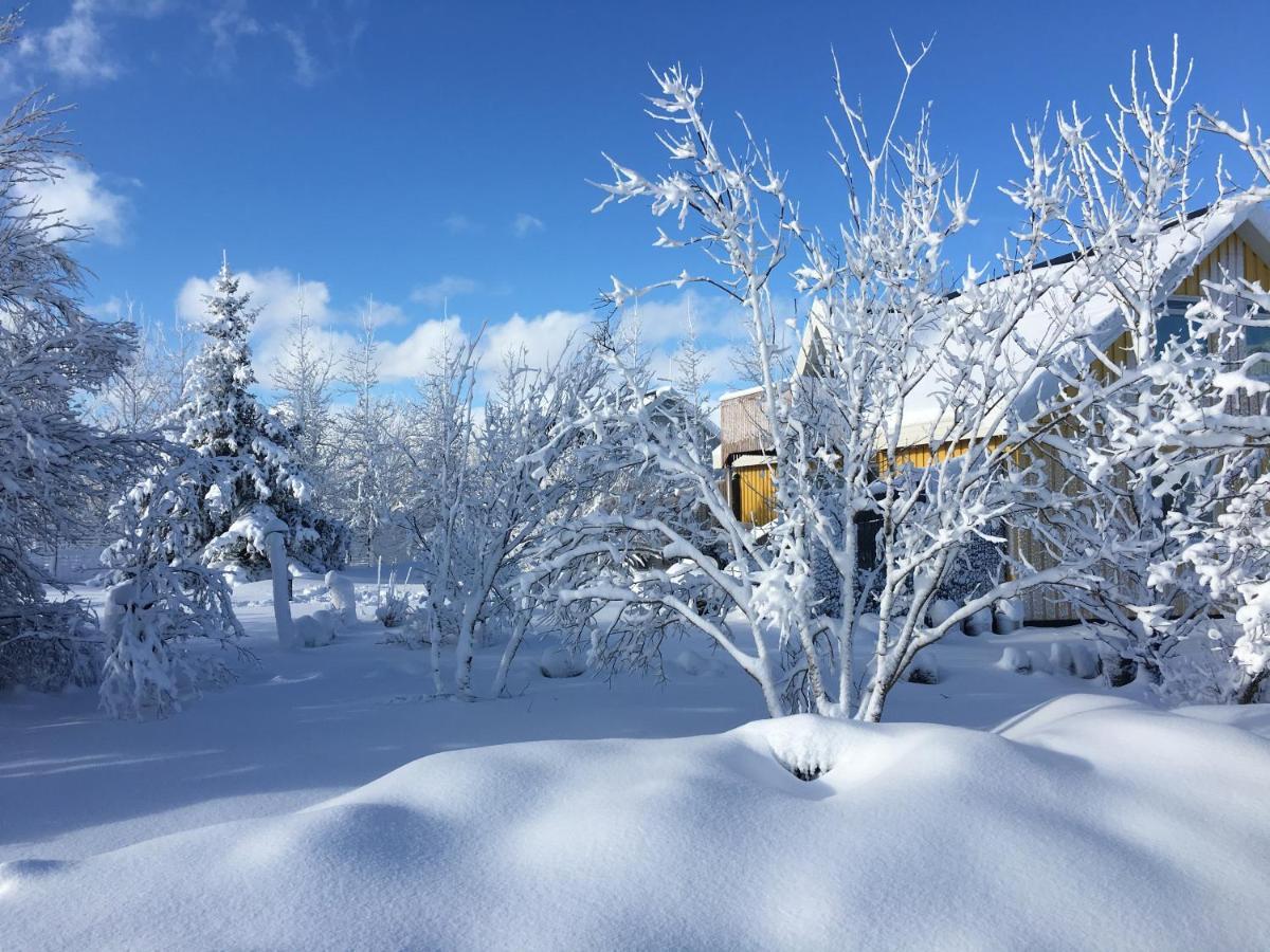 Fosssel Country House Olfus Экстерьер фото
